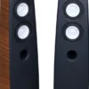 Acoustique Quality CANTO 5 Brązowy