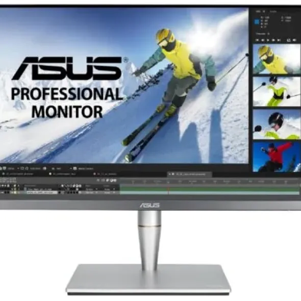 Asus ProArt PA24AC 24,1" szary (90LM04B0-B01370)