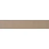 Bang&Olufsen Beosound Stage Brązowy