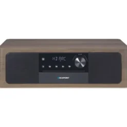 BLAUPUNKT MS22BT