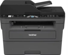 Brother MFC-L2710DW (MFCL2710DWG1)