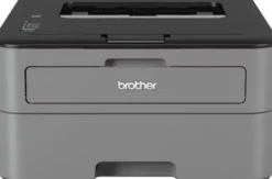 Drukarka Brother HL-L2312D