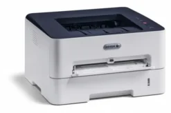 Drukarka Xerox B210V (B210V_DNI)