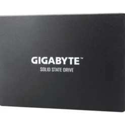 Gigabyte SSD 1TB (GP-GSTFS31100TNTD)