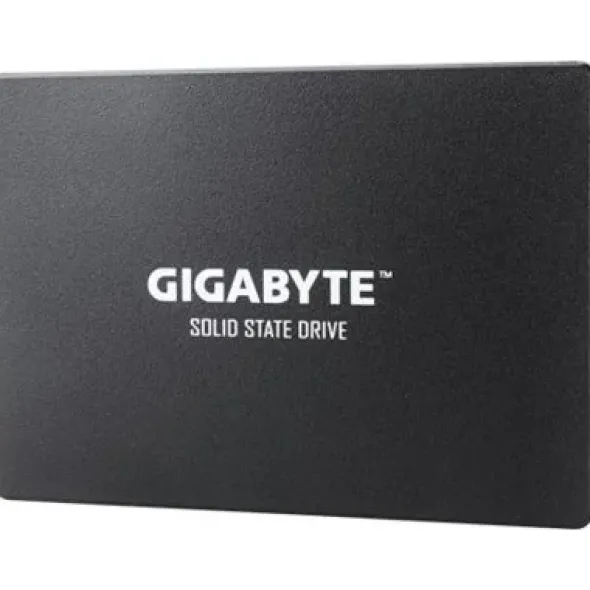 Gigabyte SSD 1TB (GP-GSTFS31100TNTD)