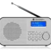 GoGEN DAB 300 N Srebrny