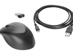 HP Wireless Premium 1JR31AA