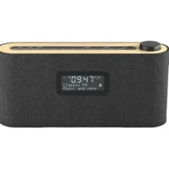 Loewe radio.frequency