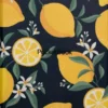 Pocketbook Shell Cover Lemon Print