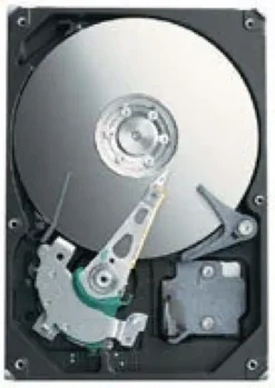 Seagate ST3300620AS