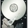 Seagate ST31000340NS