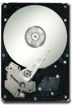 Seagate ST31000340NS