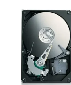 Seagate ST31000340NS