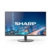 Sharp MultiSync DD-E244FL 24" Czarny