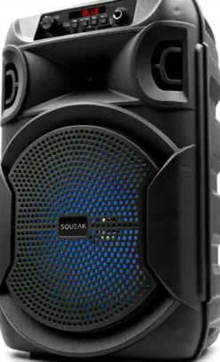 SQUEAK SQ1006 Radio FM Czarny