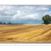 Telewizor CHiQ L40QM10V 40" QLED FHD Google TV