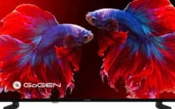 Telewizor GoGEN FHD 40'' - TVF40P420T