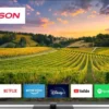 Telewizor Thomson 55QG5C14 55" QLED 4K UHD Google TV