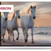 Telewizor THOMSON 55UA5S13 UHD STV  ANDROID TV